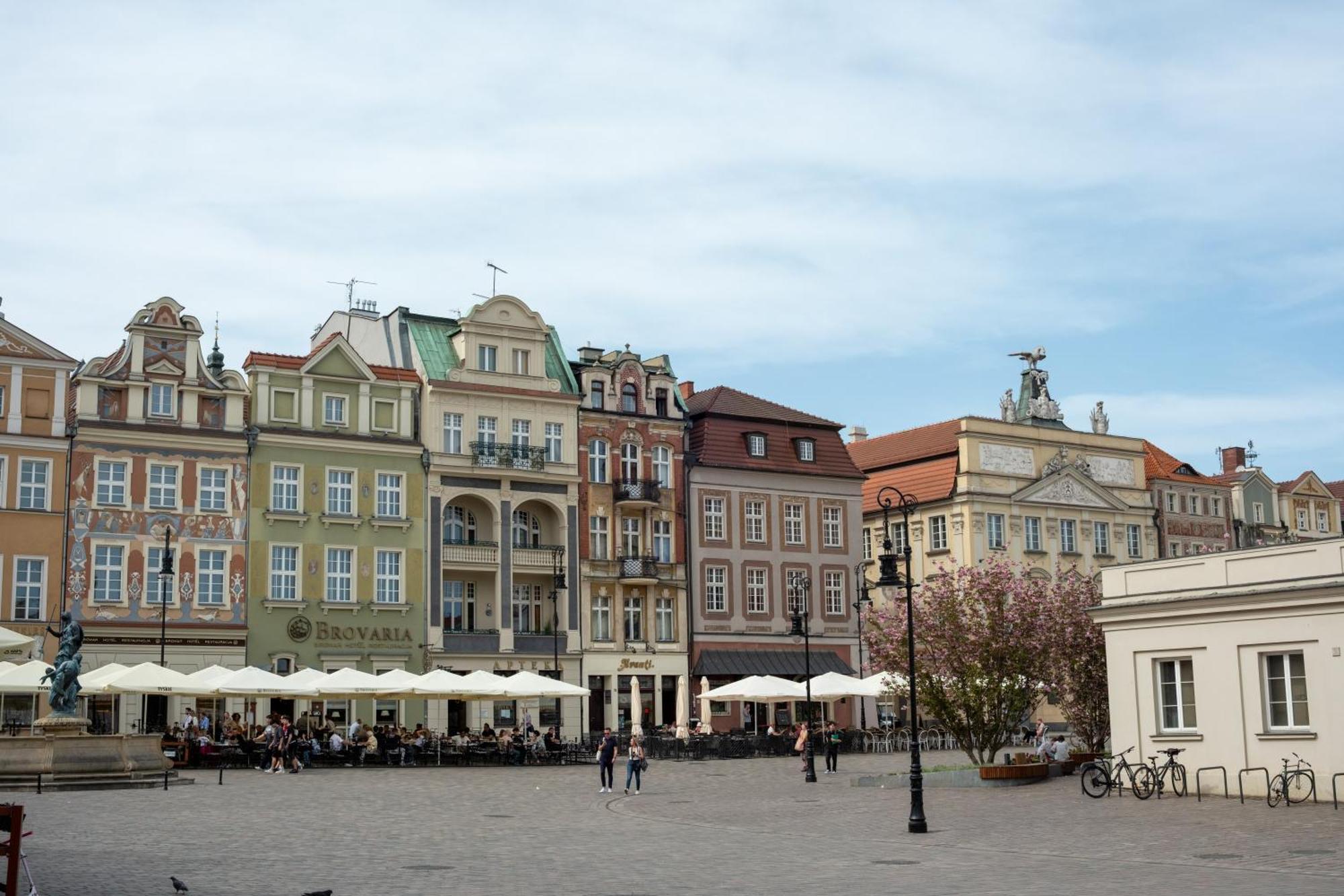 Apartamenty Drevny Kocur Poznań Eksteriør billede
